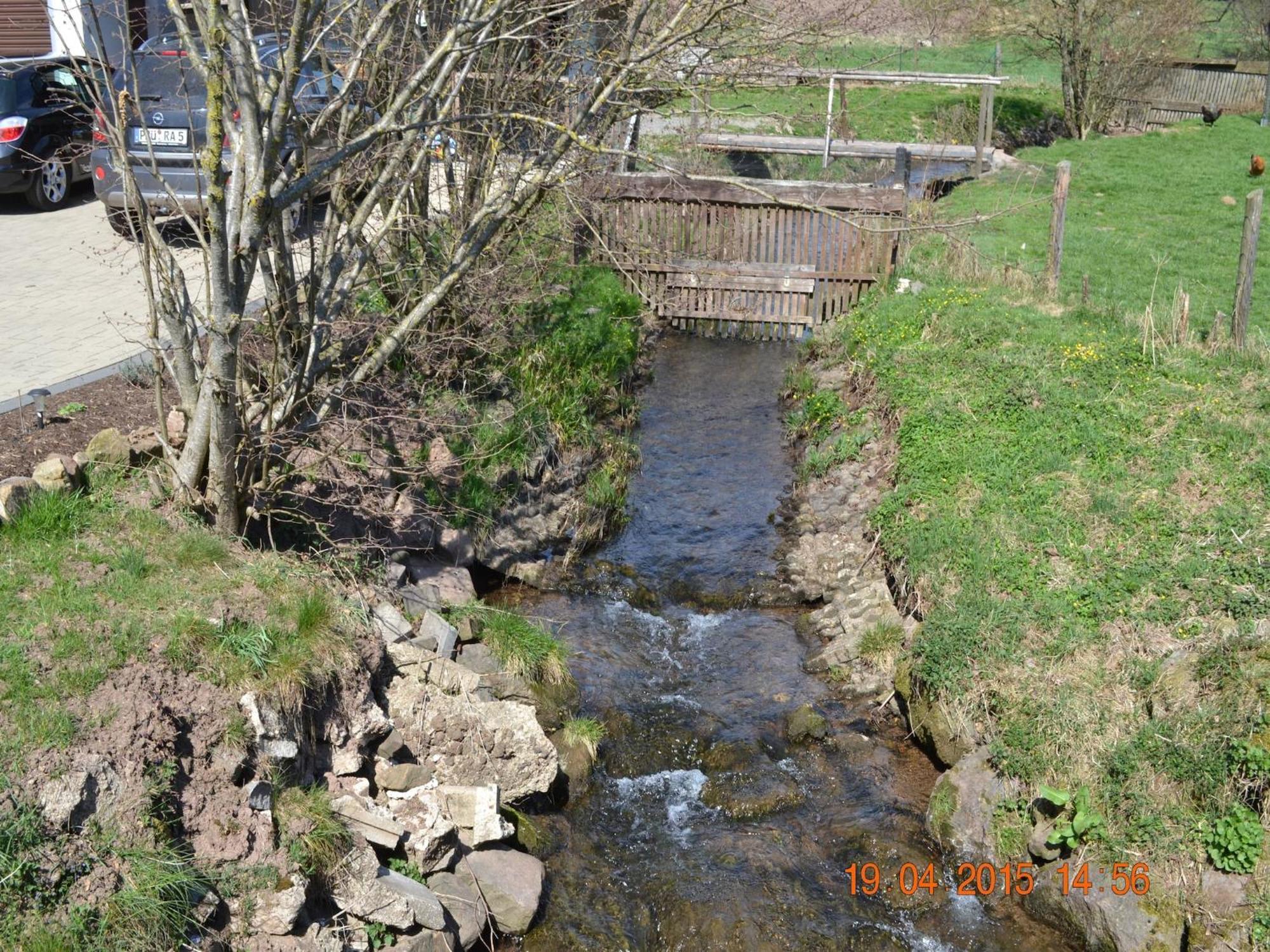 Quiet Apartment Along A Stream In Halenfeld Sellerich エクステリア 写真